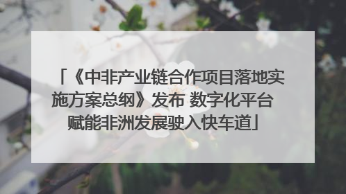 《中非产业链合作项目落地实施方案总纲》发布 数字化平台赋能非洲发展驶入快车道
