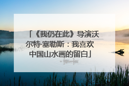 《我仍在此》导演沃尔特·塞勒斯：我喜欢中国山水画的留白