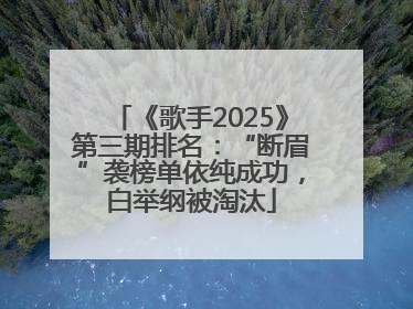 《歌手2025》第三期排名：“断眉”袭榜单依纯成功，白举纲被淘汰