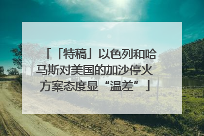 「特稿」以色列和哈马斯对美国的加沙停火方案态度显“温差”