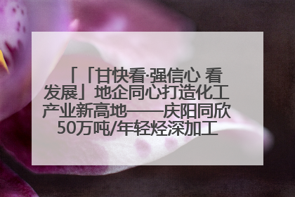 「甘快看·强信心 看发展」地企同心打造化工产业新高地——庆阳同欣50万吨/年轻烃深加工项目建设见闻