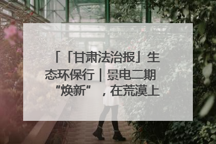 「甘肃法治报」生态环保行｜景电二期“焕新”，在荒漠上筑起一道绿色长城