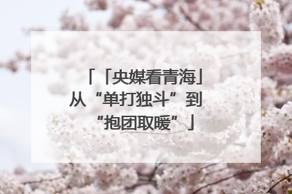 「央媒看青海」从“单打独斗”到“抱团取暖”
