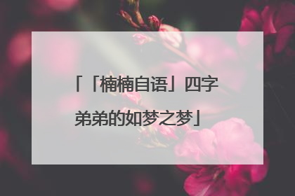 「楠楠自语」四字弟弟的如梦之梦