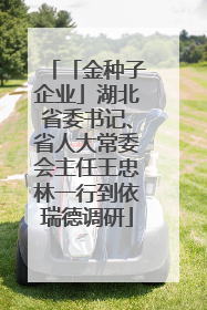 「金种子企业」湖北省委书记、省人大常委会主任王忠林一行到依瑞德调研
