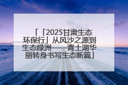 「2025甘肃生态环保行」从风沙之源到生态绿洲——青土湖华丽转身书写生态新篇