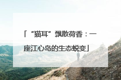 “猫耳”飘散荷香：一座江心岛的生态蜕变