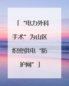 “电力外科手术”为山区织密供电“防护网”