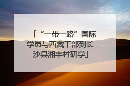 “一带一路”国际学员与西藏干部到长沙县湘丰村研学