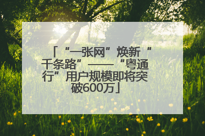 “一张网”焕新“千条路”——“粤通行”用户规模即将突破600万