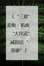 “三夏”麦收：机收“大比武” 减损论“英雄”