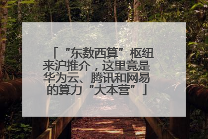 “东数西算”枢纽来沪推介，这里竟是华为云、腾讯和网易的算力“大本营”