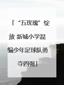 “五玫瑰”绽放 新城小学混编少年足球队勇夺四强