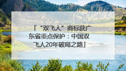 “双飞人”商标获广东省重点保护：中国双飞人20年破局之路