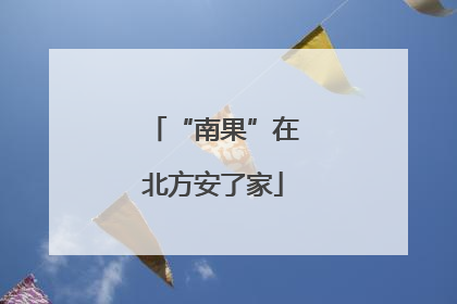 “南果”在北方安了家