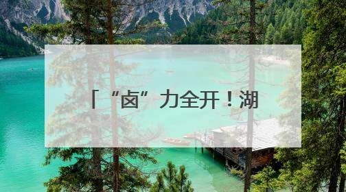 “卤”力全开！湖师大学子探秘武冈舌尖上的非遗密码