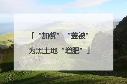 “加餐”“盖被” 为黑土地“增肥”