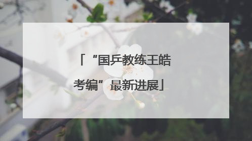 “国乒教练王皓考编”最新进展