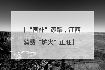 “国补”添柴，江西消费“炉火”正旺