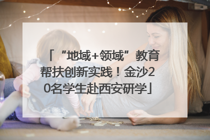 “地域+领域”教育帮扶创新实践！金沙20名学生赴西安研学