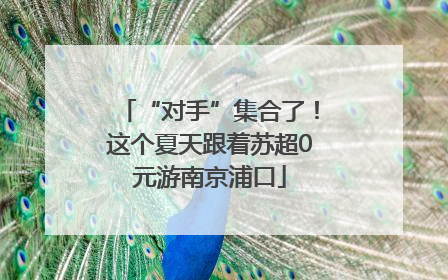 “对手”集合了！这个夏天跟着苏超0元游南京浦口