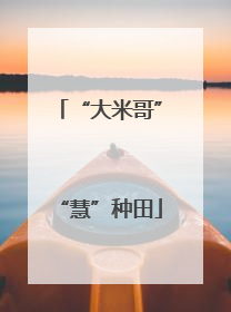 “大米哥”“慧”种田