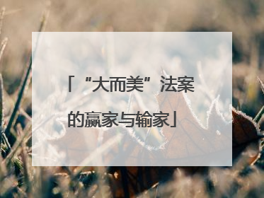 “大而美”法案的赢家与输家