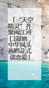 “天空精灵”齐聚闽江河口湿地，中华凤头燕鸥花式谈恋爱
