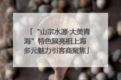 “山宗水源·大美青海”特色展亮相上海 多元魅力引客商聚焦