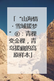 “山海情・雪域援梦”⑧：青稞变金稞，青岛援藏的高原样本