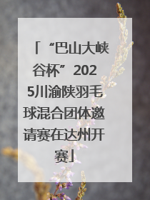 “巴山大峡谷杯”2025川渝陕羽毛球混合团体邀请赛在达州开赛