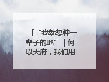 “我就想种一辈子的地”｜何以天府，我们用粮食作答②