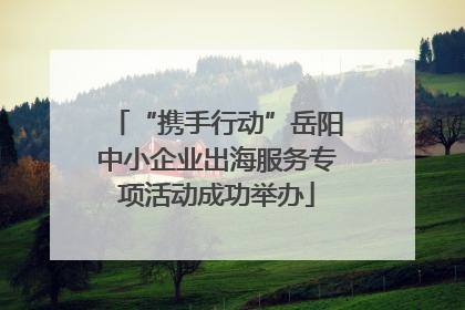 “携手行动”岳阳中小企业出海服务专项活动成功举办