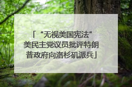 “无视美国宪法” 美民主党议员批评特朗普政府向洛杉矶派兵