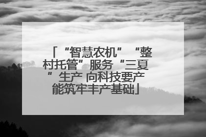 “智慧农机”“整村托管”服务“三夏”生产 向科技要产能筑牢丰产基础