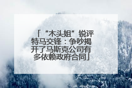 “木头姐”锐评特马交锋：争吵揭开了马斯克公司有多依赖政府合同