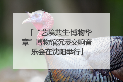 “艺境共生·博物华章”博物馆沉浸交响音乐会在沈阳举行