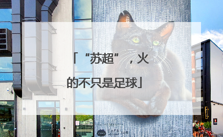 “苏超”，火的不只是足球