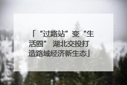 “过路站”变“生活圈” 湖北交投打造路域经济新生态
