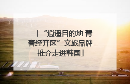 “逍遥目的地 青春经开区”文旅品牌推介走进韩国