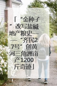 “金种子”改写盐碱地产粮史——“齐民27号”创黄河三角洲亩产1200斤奇迹