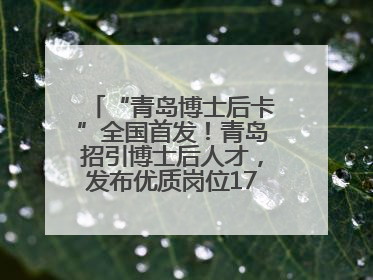“青岛博士后卡”全国首发！青岛招引博士后人才，发布优质岗位1700余个