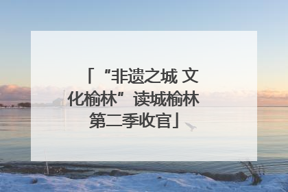 “非遗之城 文化榆林”读城榆林第二季收官