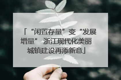 “闲置存量”变“发展增量” 浙江现代化美丽城镇建设再添新意