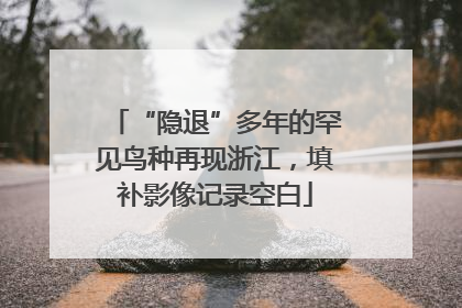 “隐退”多年的罕见鸟种再现浙江，填补影像记录空白