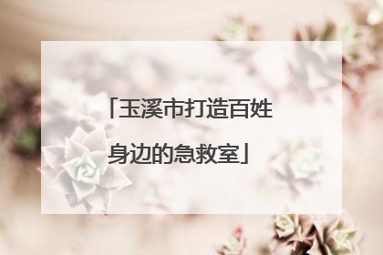 玉溪市打造百姓身边的急救室