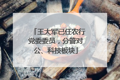 王大军已任农行党委委员，分管对公、科技板块