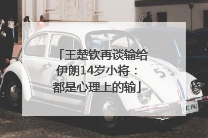 王楚钦再谈输给伊朗14岁小将：都是心理上的输