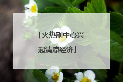 火热副中心兴起清凉经济
