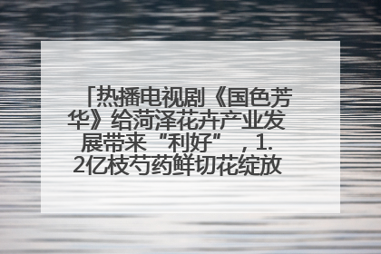 热播电视剧《国色芳华》给菏泽花卉产业发展带来“利好”，1.2亿枝芍药鲜切花绽放“国色芳华”